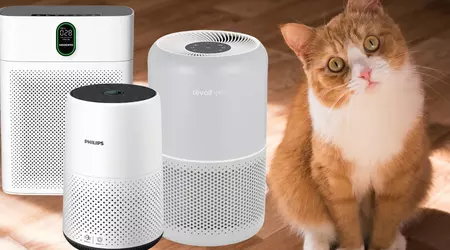Meilleurs Purificateurs d'Air pour Chats