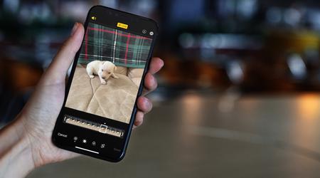 Un nouvel outil Google permet de transférer des photos en direct d'iOS à Android