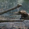 Un aperçu du costume de crocodile