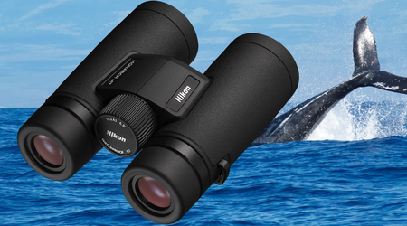 Meilleures Jumelles pour L'observation des Baleines