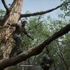 Un remake que les fans vont adorer : des journalistes partagent leurs impressions sur la démo de Metal Gear Solid Δ : Snake Eater-6 Un remake que les fans vont adorer : des journalistes partagent leurs impressions sur la démo de Metal Gear Solid Δ : Snake Eater-6