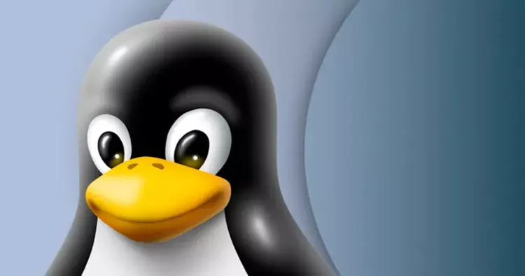 Nouvelle faille Linux : la vulnérabilité ...