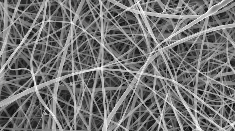Des scientifiques ont créé des spaghettis ...
