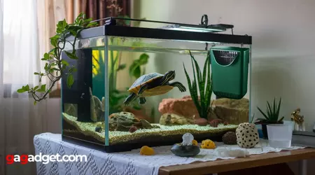 Meilleur Filtre pour Aquarium Tortue