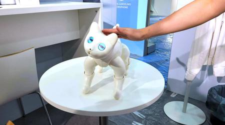 À l'IFA 2022, ils ont présenté MarsCat, un chat robot câlin qui sent le toucher, répond aux voix et joue avec des jouets.