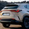 Lexus NX Overtrail avec cuir synthétique noir