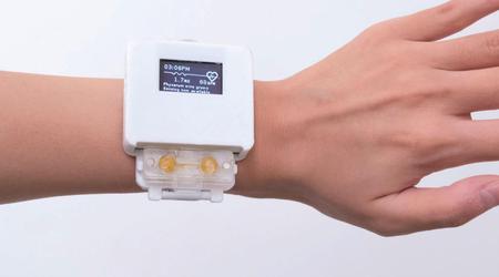 Des scientifiques ont créé une montre intelligente dotée d'un organisme vivant qui a besoin d'être nourri. La fonctionnalité du gadget dépend de la santé de la créature.