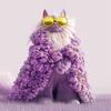 Un design unique pour les chats chez Catly