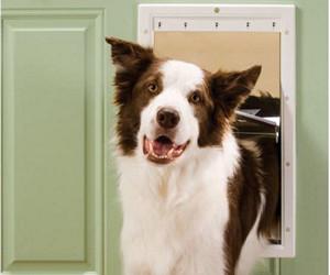 Porte en plastique pour animaux de ...