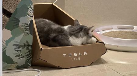 Il semblerait que Tesla ait volé à une entreprise taïwanaise le design d'une chaise longue pour chat de type "Cybertruck".