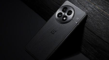 Confirmation officielle : le nouveau flagship OnePlus 13 dispose d'une protection plus sérieuse que l'iPhone 16, le Samsung Galaxy S24 et le Google Pixel 9. 