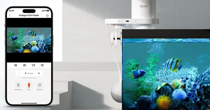 Nourrisseur automatique pour poissons Wolmds wifi