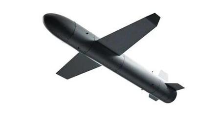 La Lituanie investit 10 millions d'euros dans la production du missile drone à longue portée "Palyanytsia".