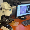 Google et le Pentagone ont mis au point un microscope basé sur l'intelligence artificielle pour le diagnostic du cancer-5 Google et le Pentagone ont mis au point un microscope basé sur l'intelligence artificielle pour le diagnostic du cancer-5