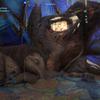 Огляд Avatar: Frontiers of Pandora Огляд Avatar: Frontiers of Pandora