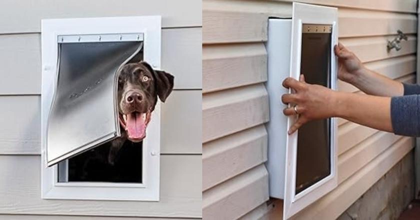 PetSafe New Wall Entry porte électronique pour chien