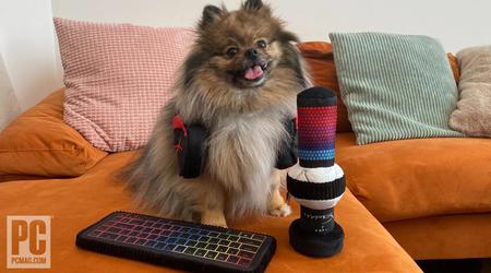 HyperX présente des accessoires de jeu... pour animaux de compagnie