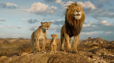 Rumeur : Disney travaille sur le prochain film en prises de vues réelles dans l'univers du Roi Lion