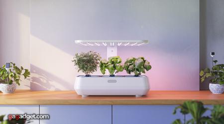 Gadgets Connectés pour Plantes d'Intérieur