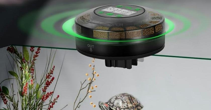 Distributeur programmable de nourriture pour poissons Papettly