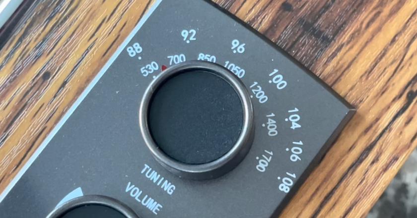VOKSUN VK1688 meilleur platine vinyle moins de 100 euros