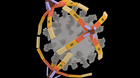 Des scientifiques ont créé un "bras" microscopique fait d'ADN qui capture les virus pour prévenir les infections.