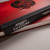 Capture d'écran du jeu Assassin's Creed Shadows