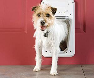 Porte électronique SmartDoor de PetSafe