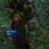 Огляд Avatar: Frontiers of Pandora Огляд Avatar: Frontiers of Pandora