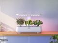 post_big/Best_Smart_Gadgets_for_Plant_Parents.jpg