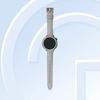 La montre OWW242 a été observée sur TENAA