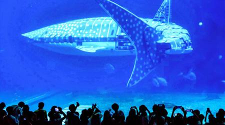 Rendez-nous notre argent ! Les visiteurs d'un océanarium chinois s'indignent de voir un requin robotisé au lieu d'un géant des mers vivant.