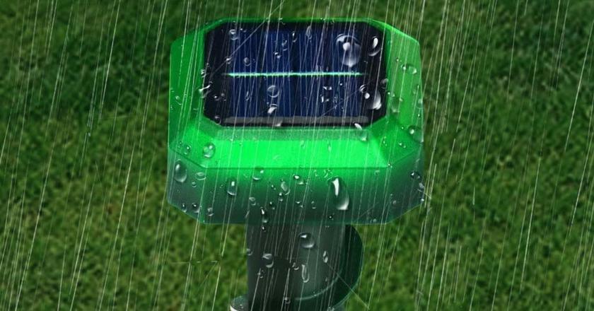 protection anti-taupes pour jardin Muyfguo