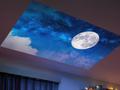 post_big/Image_2_Scneario_Photo_ViewSonic_M1_Max.jpg
