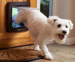 Porte pour animaux SureFlap avec puce électronique
