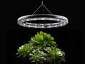 pr_news/1650593703-360_degree_plant_care_system_with_automated_watering_hero.jpg