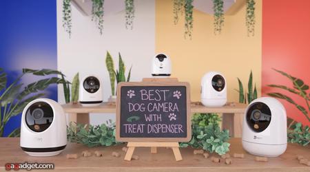 Meilleure Caméra pour Chien avec Distributeur de Friandises