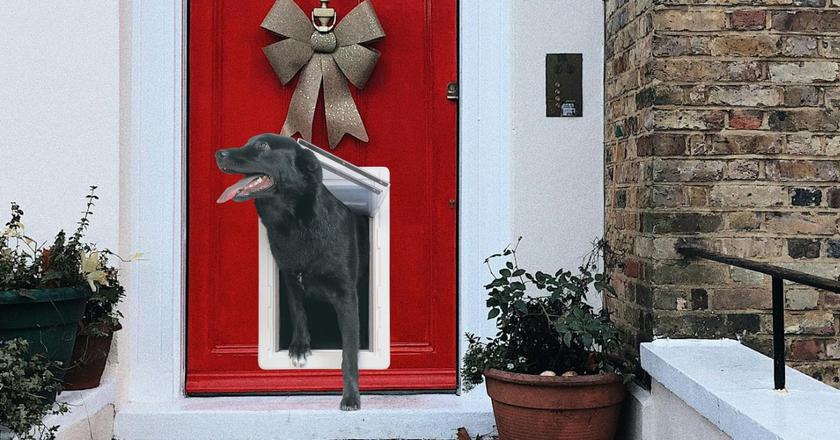 Porte pour chien wifi à énergie tout temps