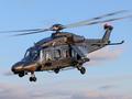 post_big/aw149_leo.jpg