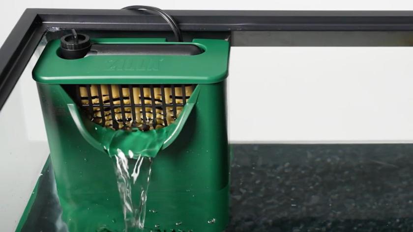 Zilla filtre submersible pour tortue