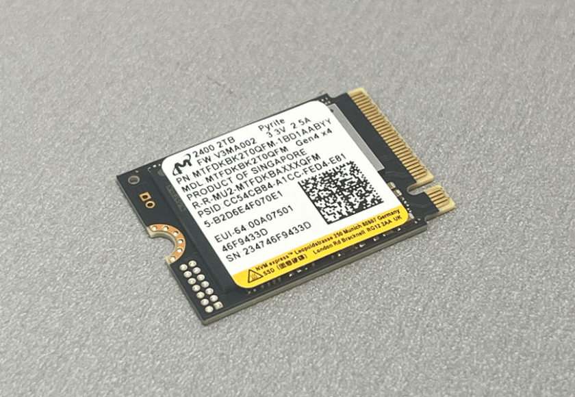 Micron 2400 extension steam deck