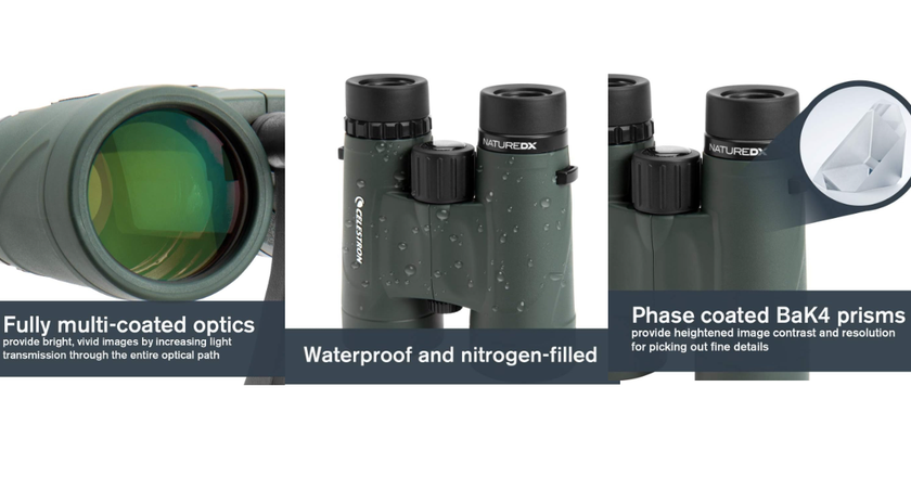 Celestron Nature DX 8x42 meilleures jumelles pour l'observation des baleines