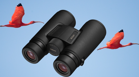 Meilleures Jumelles Compactes pour l'Ornithologie
