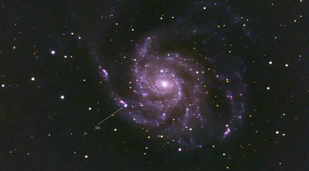 Les scientifiques ont diffusé en direct l'éclair de l'une des supernovae les plus brillantes de ces dix dernières années.
