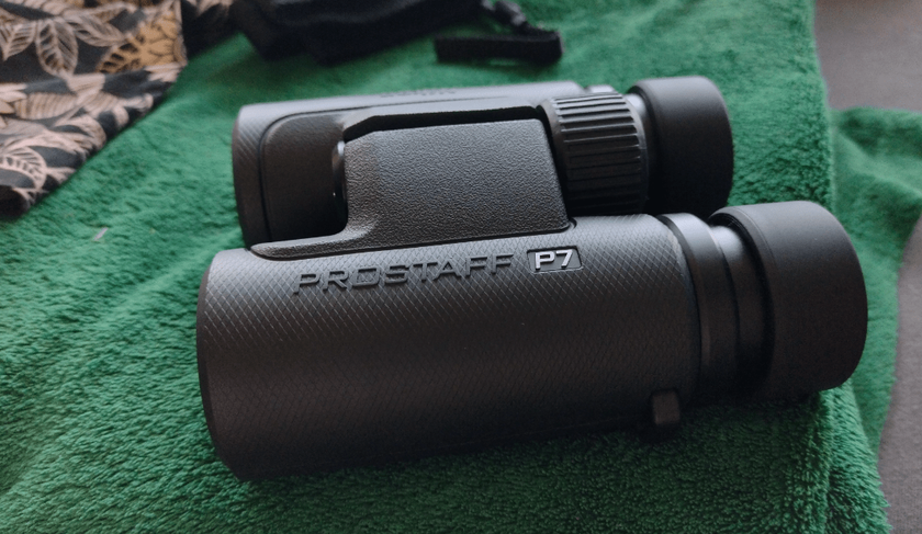 Jumelles Nikon PROSTAFF P7 8x30 pour les tout-petits