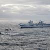 Le porte-avions britannique HMS Queen Elizabeth, qui transporte des chasseurs de cinquième génération F-35B Lightning II, est passé sous le commandement de l'OTAN pour la première fois dans l'histoire.-24 Le porte-avions britannique HMS Queen Elizabeth, qui transporte des chasseurs de cinquième génération F-35B Lightning II, est passé sous le commandement de l'OTAN pour la première fois dans l'histoire.-24