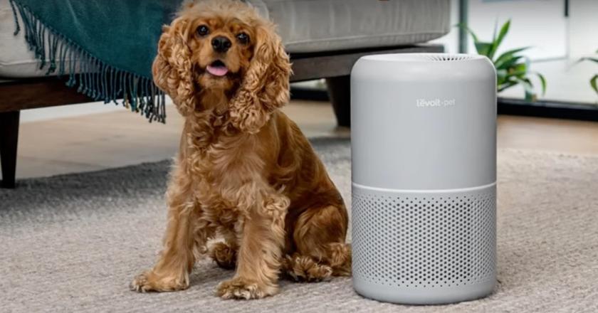 LEVOIT Core 300S purificateur d'air pour odeur de chat