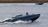 Pour la première fois dans l’histoire, lors d’un combat, le drone maritime ukrainien Magura a détruit un chasseur russe (vidéo)