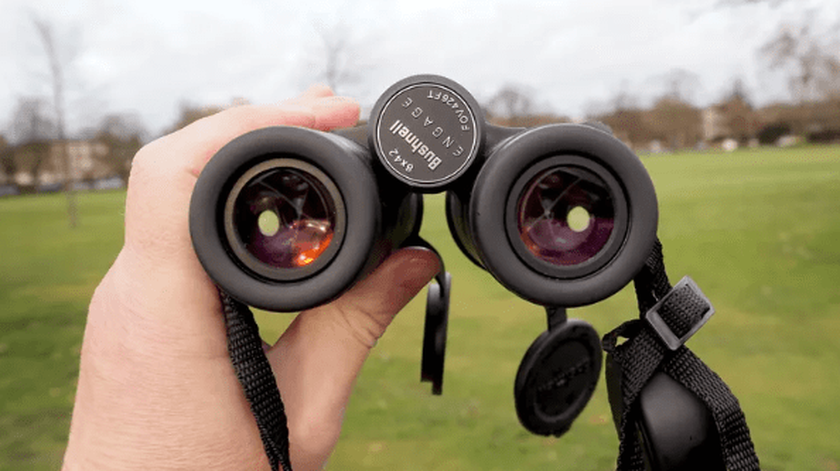 Jumelles Bushnell 8x42 Engage compactes 8x42