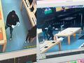 post_big/52630-105174-thieves-apple-store-beavercreek-xl.jpg